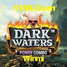 Experiência VIP Winmi